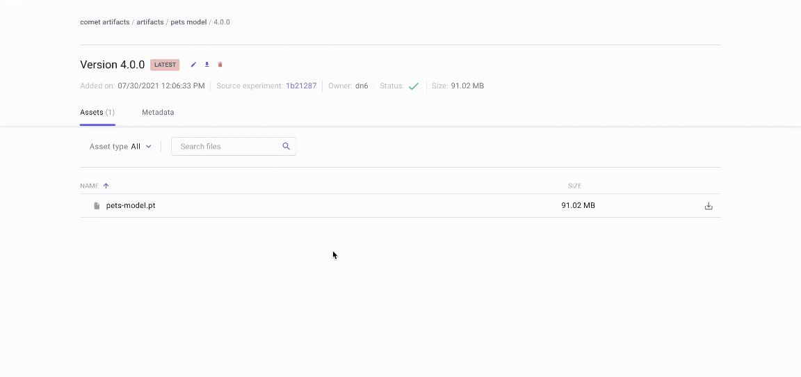 Artifacts in the Experiment View